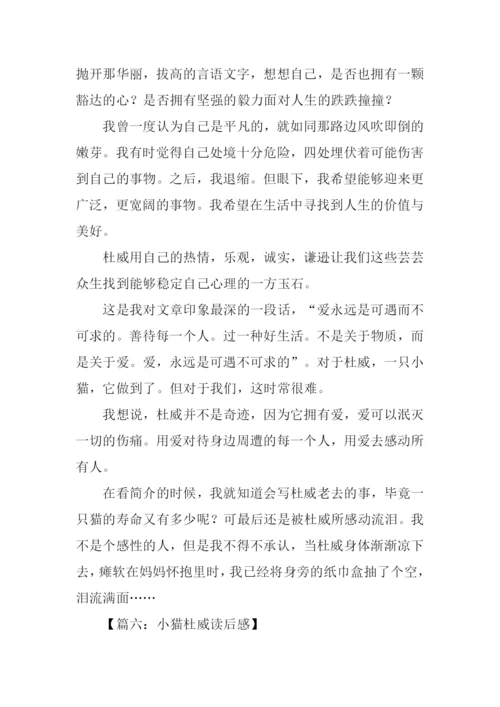 小猫杜威读后感-2.docx