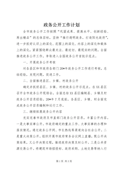 政务公开工作计划 (2).docx