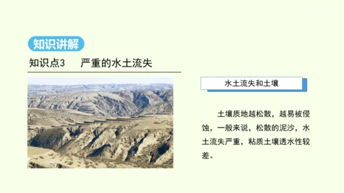 6.3 世界最大的黄土堆积区——黄土高原 第2课时 严重的水土流失 水土保持（课件29张）- 人教版