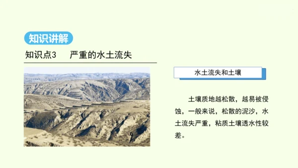 6.3 世界最大的黄土堆积区——黄土高原 第2课时 严重的水土流失 水土保持（课件29张）- 人教版