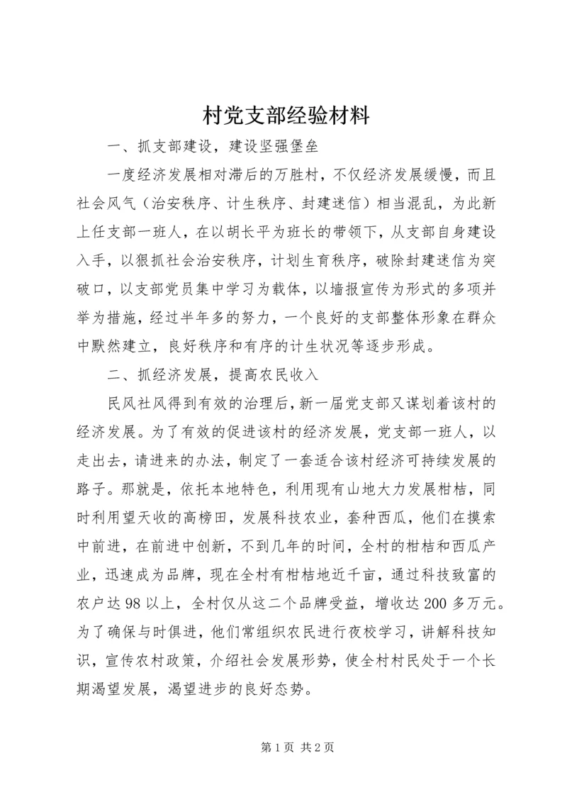 村党支部经验材料 (2).docx