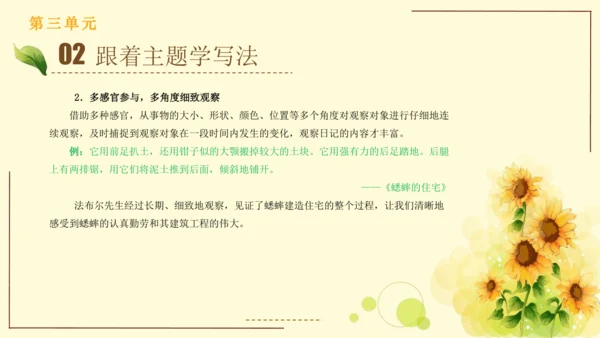 统编版语文四年级上册2024-2025学年度第三单元习作： 写观察日记（课件）