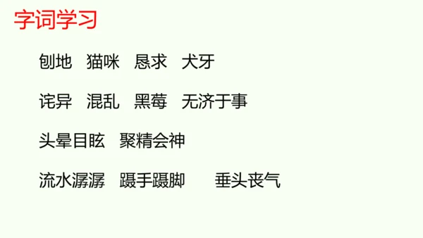 统编版六年级下册语文《6.骑鹅旅行记》（节选）（课件）