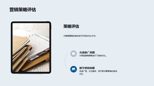 市场营销策略与成效