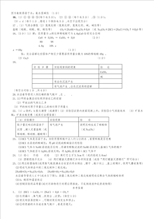九年级化学探究题