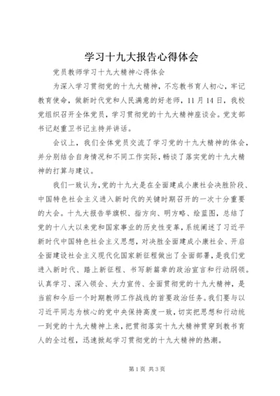 学习十九大报告心得体会 (15).docx