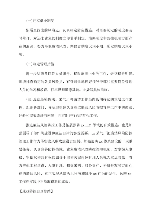 廉政防控自查总结