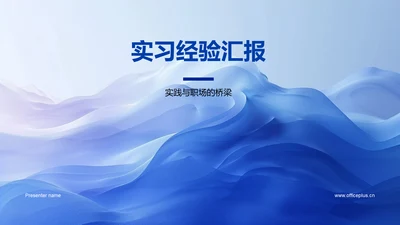 实习经验汇报