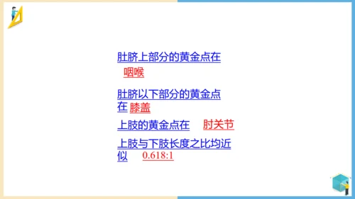 小学数学黄金比例教学通用PPT课件