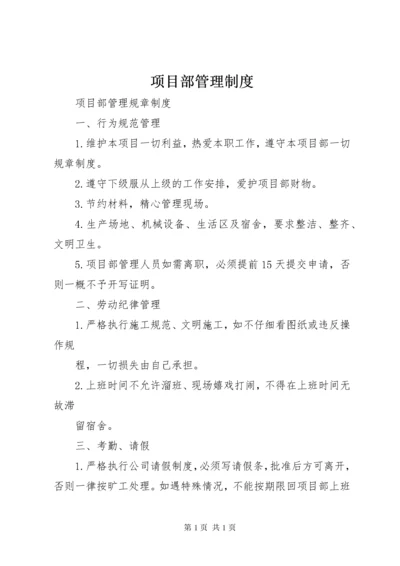 项目部管理制度.docx