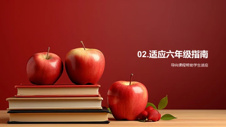 六年级适应策略指南