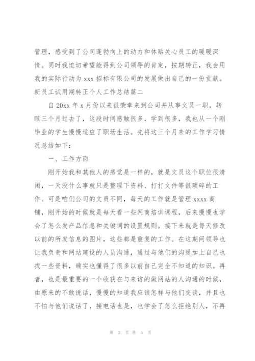 新员工试用期转正个人工作总结.docx