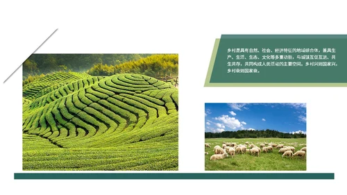 实拍笔刷风格美丽乡村农业介绍新时代农业农村现代化ppt模板
