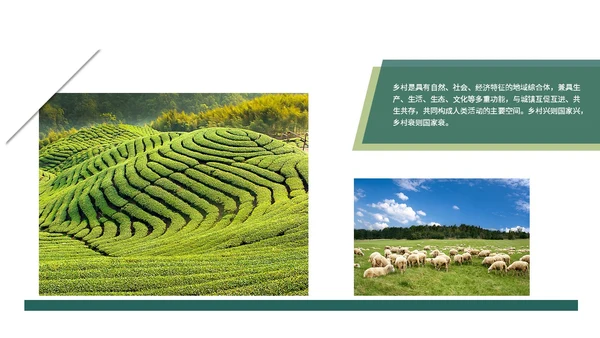 实拍笔刷风格美丽乡村农业介绍新时代农业农村现代化ppt模板