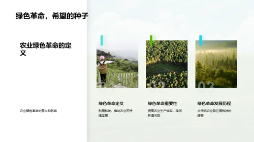 迈向绿色农业