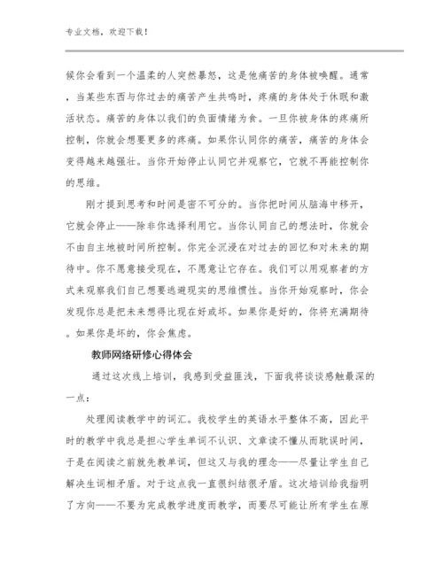2024教师网络研修心得体会优选范文6篇.docx