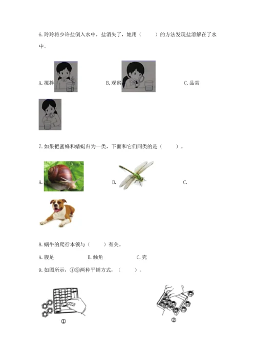 教科版一年级下册科学期末测试卷附参考答案（轻巧夺冠）.docx