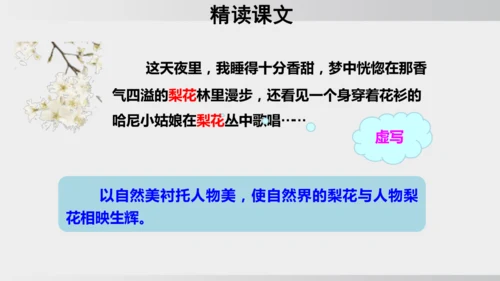15 驿路梨花 课件