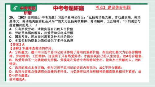 八上道法第四单元维护国家利益复习课件2024  