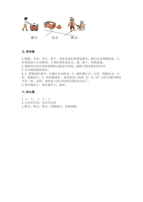 教科版小学科学二年级下册 期末测试卷附参考答案【达标题】.docx