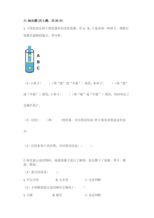 科学四年级下册第一单元《植物的生长变化》测试卷附答案（考试直接用）.docx