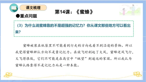 统编版三年级语文下册同步高效课堂系列第四单元（复习课件）