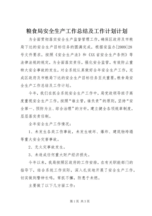 粮食局安全生产工作总结及工作计划计划.docx