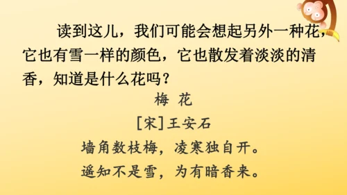 2 丁香结  课件