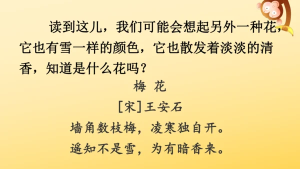 2 丁香结  课件