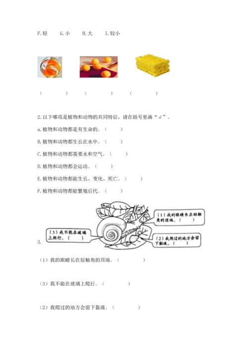 教科版一年级下册科学期末测试卷（考点提分）.docx