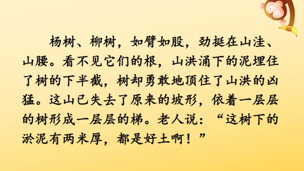 20 青山不老   课件