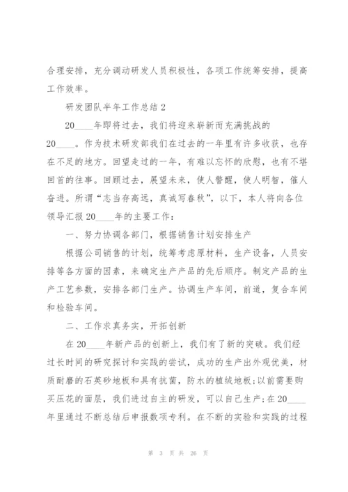 研发团队半年工作总结5篇.docx