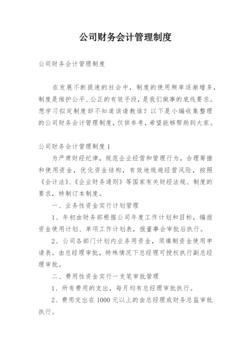 公司财务会计管理制度.docx