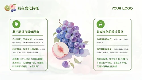 绿色简约中国传统二十四节气之夏至科普课件PPT模板
