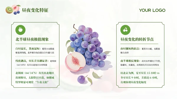 绿色简约中国传统二十四节气之夏至科普课件PPT模板