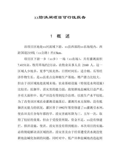 防洪闸项目可行性研究报告.docx