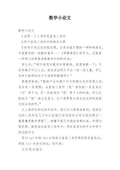 数学小论文编辑最新精选.docx