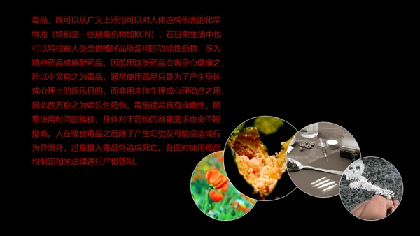 国际禁毒日珍爱生命远离罪恶通用PPT模板