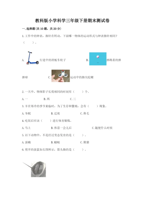 教科版小学科学三年级下册期末测试卷（巩固）.docx