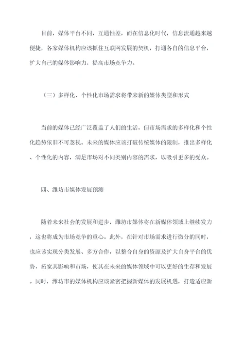 潍坊媒体调研报告
