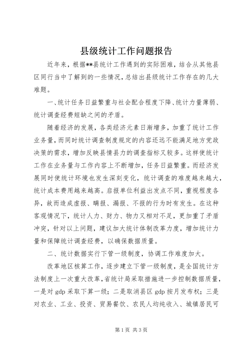 县级统计工作问题报告 (2).docx