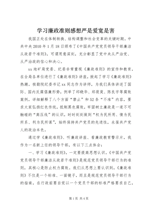 学习廉政准则感想严是爱宽是害.docx