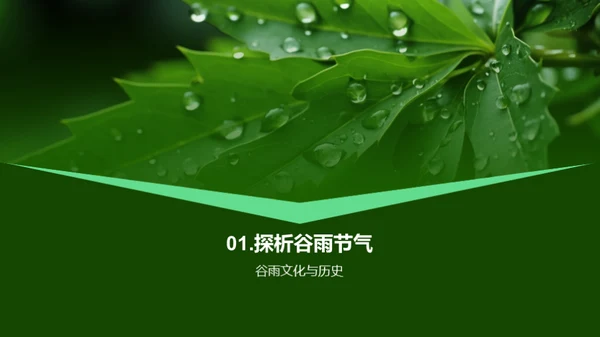 谷雨节气消费洞察