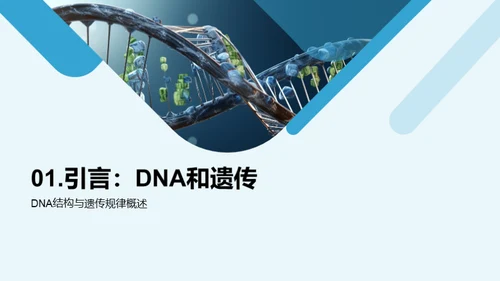 DNA揭秘生命密码