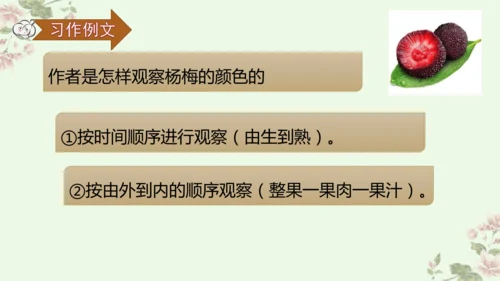 第五单元习作例文我爱故乡的杨梅