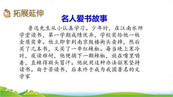 27 我的“长生果“   课件