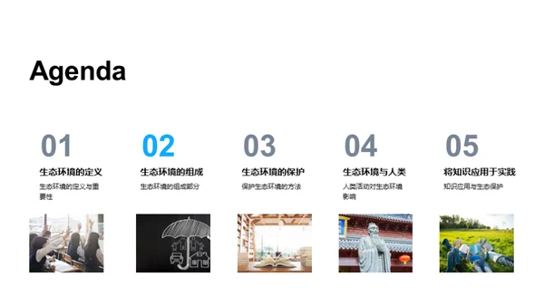 生态环境之魅力