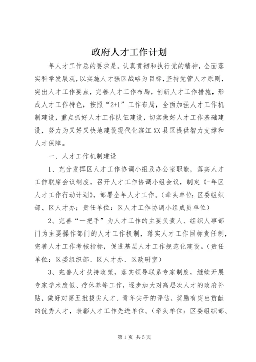 政府人才工作计划.docx