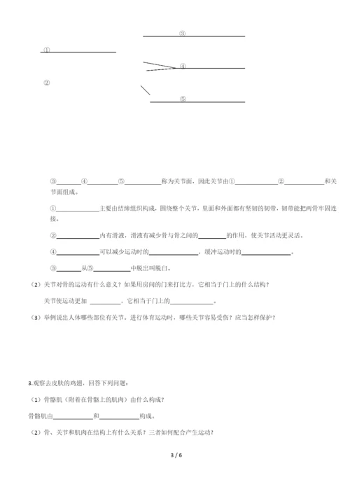 人教版八年级生物上册导学案-5.2.1动物的运动(答案不全).docx