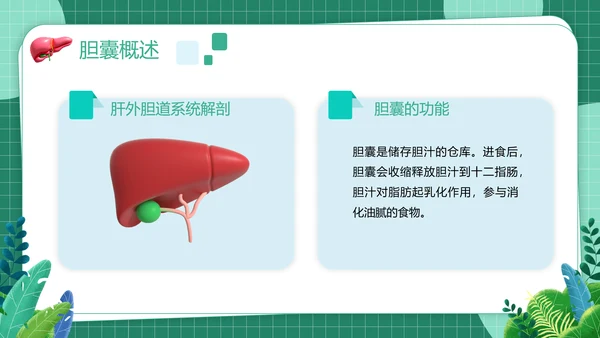 胆囊结石健康管理PPT模板